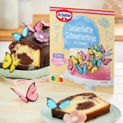 Dr. Oetker Zauberhafte Schmetterlinge -Deutschland Snack Verkäufe 2024 1 01 550100 Zauberhafte Schmetterlinge 2023 A 1500x1500 jpg 1280x1280