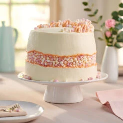 Dr. Oetker Drehbare Tortenplatte -Deutschland Snack Verkäufe 2024 60 1 01 529800 5 1280x1280