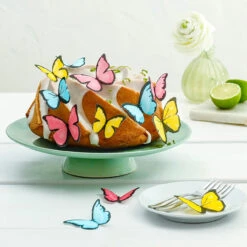 Dr. Oetker Zauberhafte Schmetterlinge -Deutschland Snack Verkäufe 2024 A 101550100 Zauberhafte Schmetterlinge 4 1500x1500 1280x1280