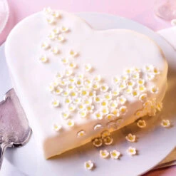 Dr. Oetker Weiße Fondant Decke 12 Dr. Oetker Weiße Fondant Decke -Deutschland Snack Verkäufe 2024 A 60 1 01 528600 Weisse Fondant Decke 5 1500x1500 jpg 1280x1280