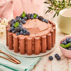 Dr. Oetker Naked Cake Schoko -Deutschland Snack Verkäufe 2024 R KleineSchokoBeerenTorte 101970100 1500x1500 jpg 1280x1280