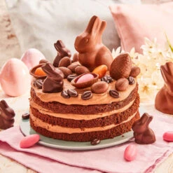 Dr. Oetker Naked Cake Schoko -Deutschland Snack Verkäufe 2024 R KleineSchokoMokkaTorte 101970100 1500x1500 jpg 1280x1280